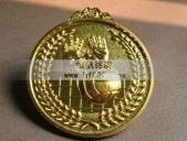 排球運(yùn)動(dòng)會(huì)比賽獎(jiǎng)牌 